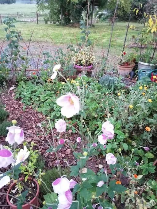 Les Hortensias La Souris Des Champs Étival-Clairefontaine Eksteriør billede