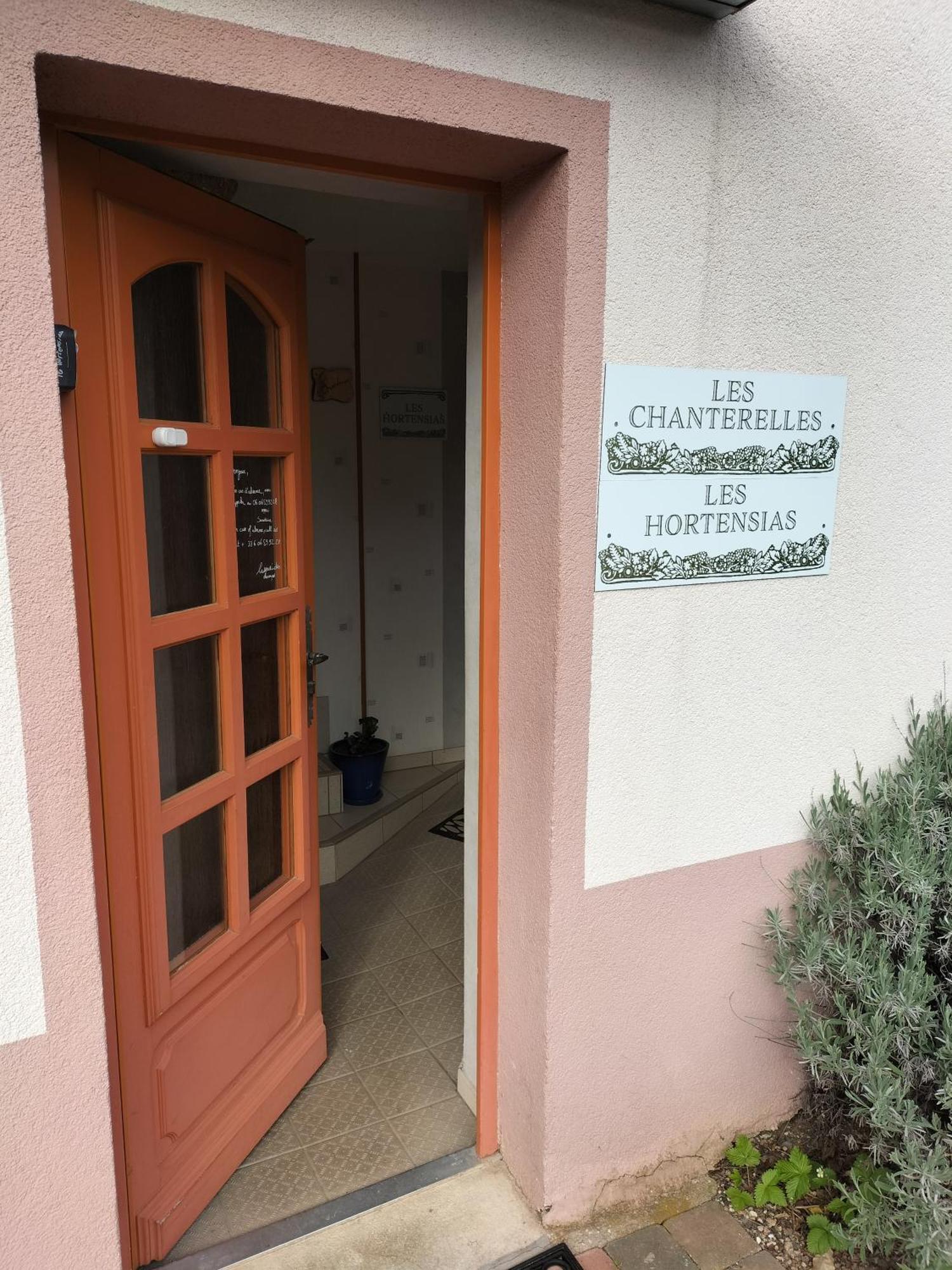 Les Hortensias La Souris Des Champs Étival-Clairefontaine Eksteriør billede