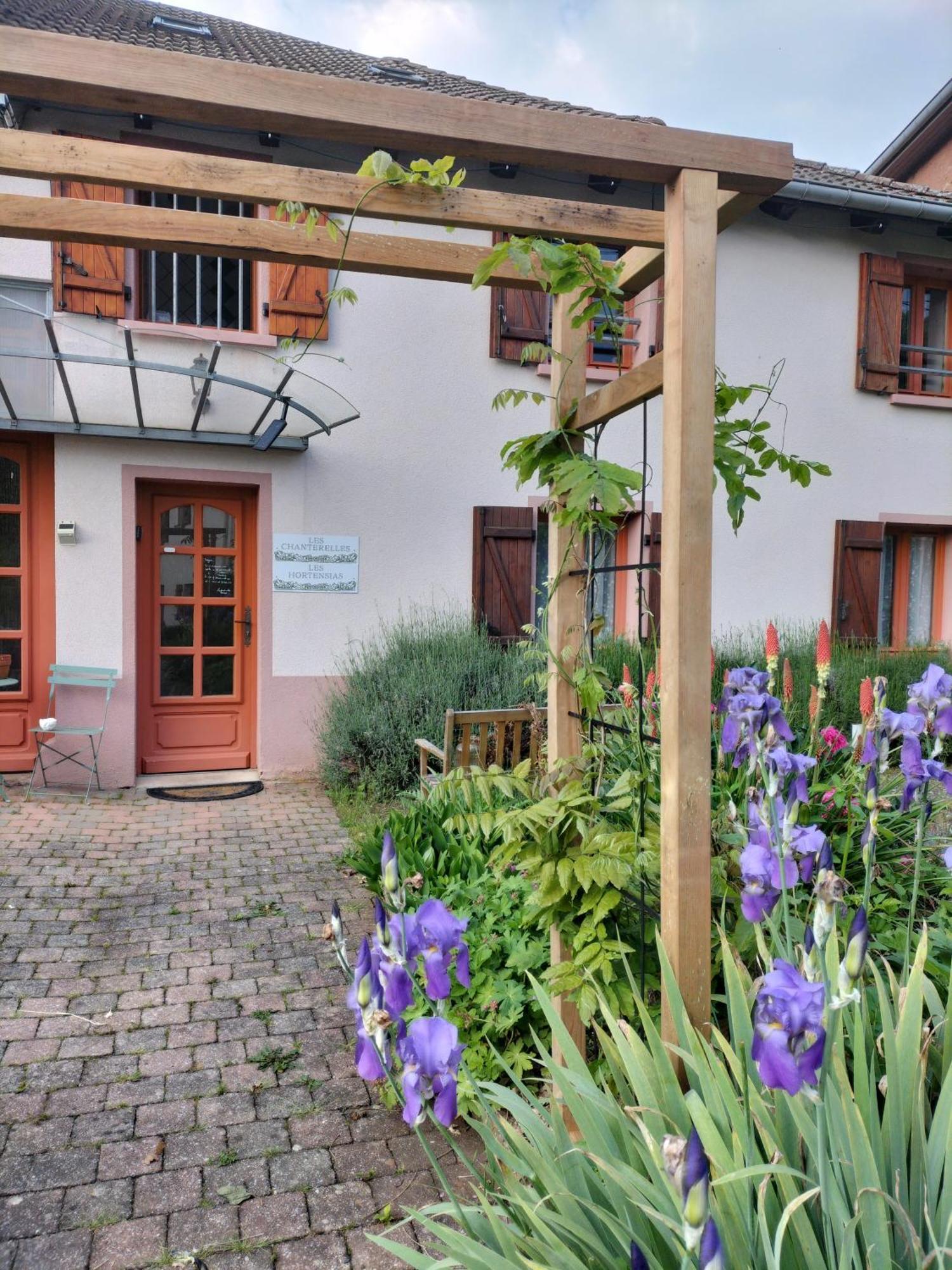 Les Hortensias La Souris Des Champs Étival-Clairefontaine Eksteriør billede